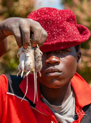 Malawi ist ein armes Land, gute Jobs sind rar. Acht Jungs aus dem Dorf Balaka in Südmalawi verdienen sich ihren Lebensunterhalt, in dem sie Mäuse fangen 