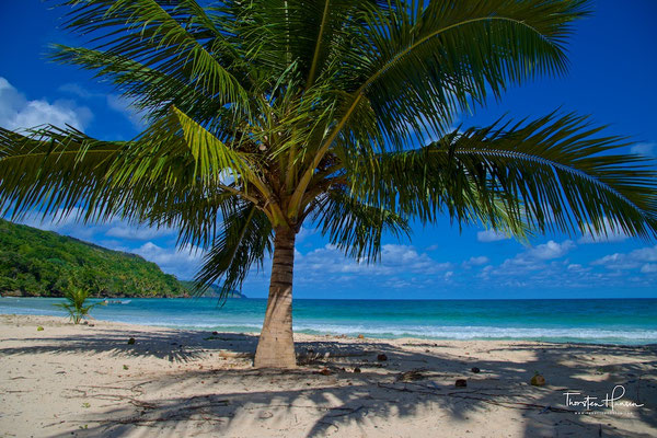  Playa Rincon auf der Halbinsel Samaná