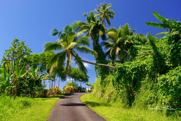 Intensive Beziehungen mit Tonga und Fidschi existierten schon seit 200 v. Chr. Von 940 bis 1250 wurde Samoa von Tonga beherrscht.
