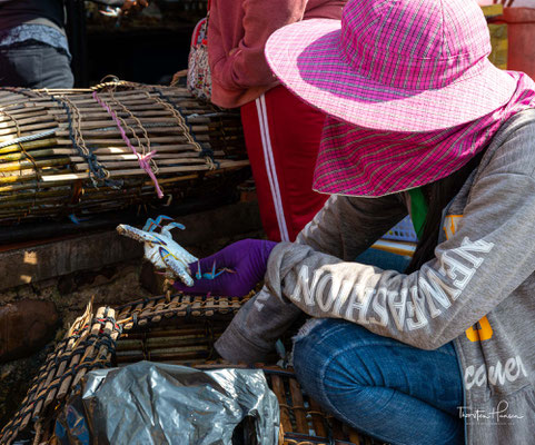 Der Fischverkauf auf dem Crab Market in Kep liegt komplett in Frauenhand.