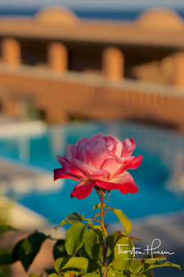 Doubletree by Hilton Resort Kos Helona