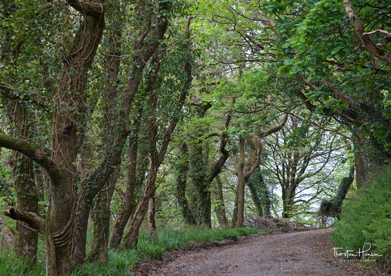 Fischerdorf Clovelly