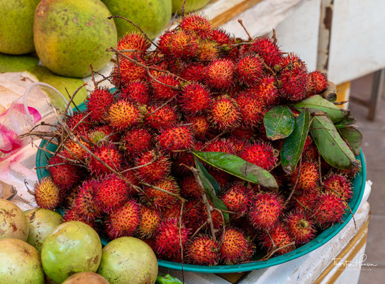 Rambutan Frucht - eine Verwandte der berühmten Litschis