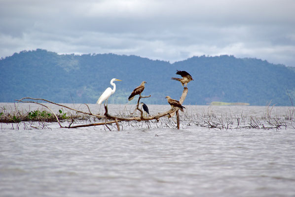 Unterwegs auf dem Sepik River