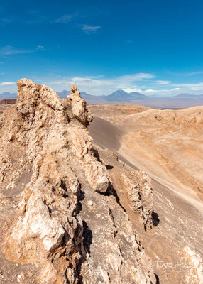 Die Trockenheit in Verbindung mit den hohen Tages- und den niedrigen Nachttemperaturen lässt kaum Vegetation zu.