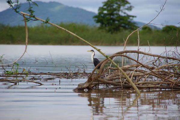 Unterwegs auf dem Sepik River