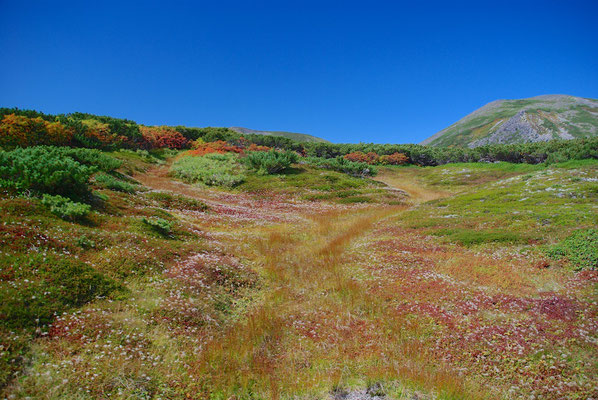 Daisetsuzan Nationalpark in Hokkaido