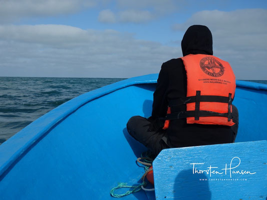 Whale Watching in Guerrero Negro