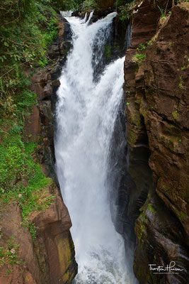 Die Iguazú-Wasserfälle bestehen aus 20 größeren sowie 255 kleineren Wasserfällen auf einer Ausdehnung von 2,7 Kilometern