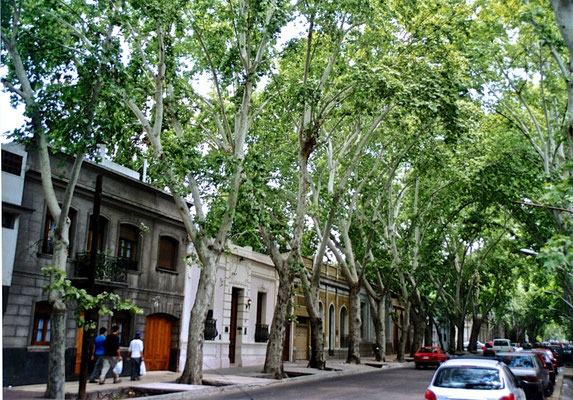 Mendoza