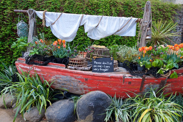 Botanischer Garten Eden Projekt