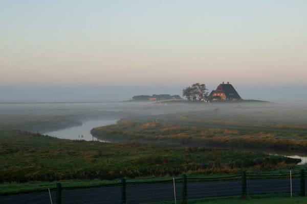 Sonnenaufgang - Original Aufnahmen