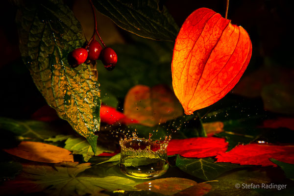 Herbstbild mit Wasserkrone