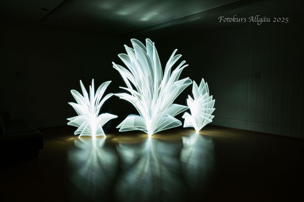 Lightpainting - Eisbäume