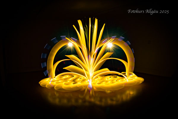 Lightpainting - Lotusblume