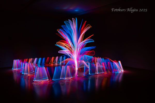 Lightpainting - Bunter Garten