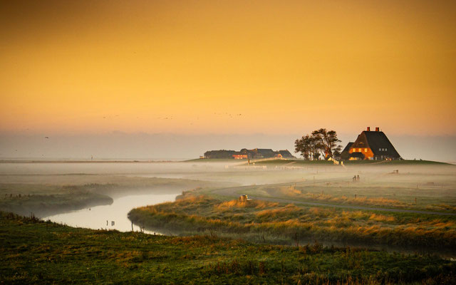 Sonnenaufgang - Bearbeitung in Lightroom