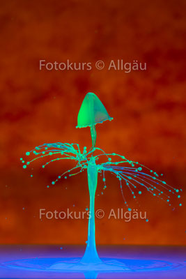 TaT, Tropfen auf Tropfen