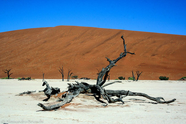 Deadvlei - Namibia 2007