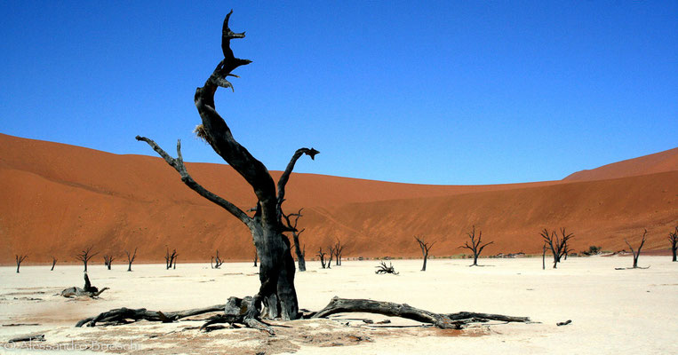 Deadvlei - Namibia 2007