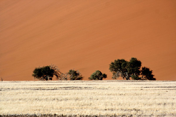 Verso Sussusvlei - Namibia 2007