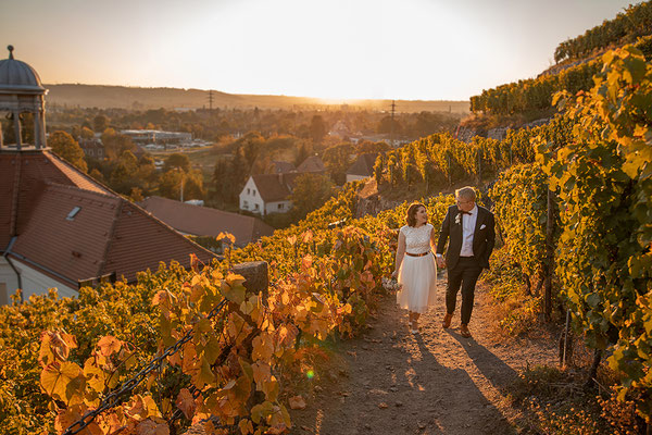 Hochzeitsfotografie Radebeul Dresden Weinberge