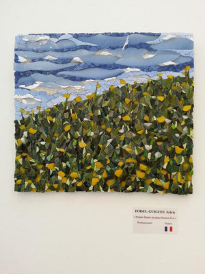 Prairie fleurie en jaune bouton d'or - 2011 - A Chartres 2014 - Sylvie Foisel-Guigues