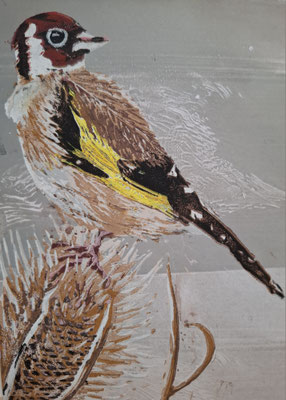 Distefink, 2025 Linoldruck 14,8x10.5 cm
