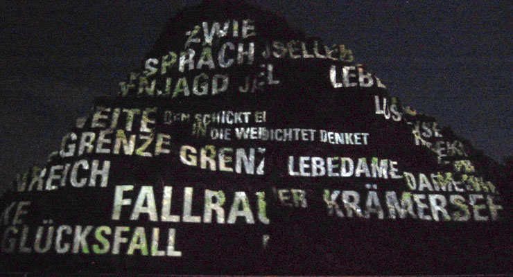 Rheinpartie 2009, mit Laser beschrifteter Felsen