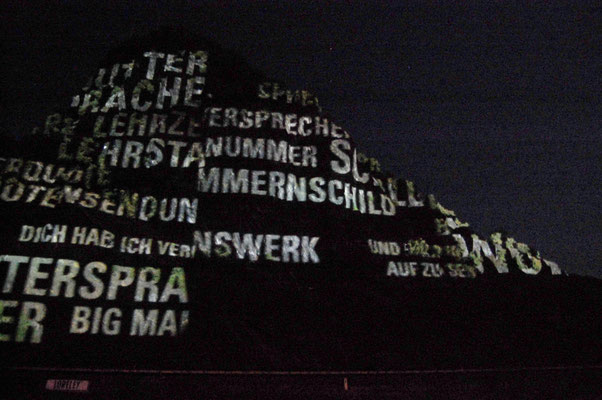 Rheinpartie 2009, mit Laser beschrifteter Felsen