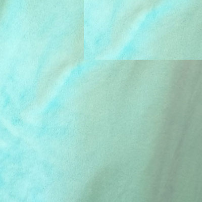 MENTA