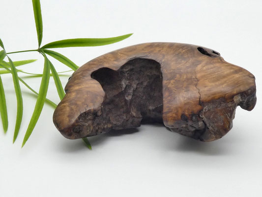 Handschmeichler aus Holz - Eukalyptuswurzelholz