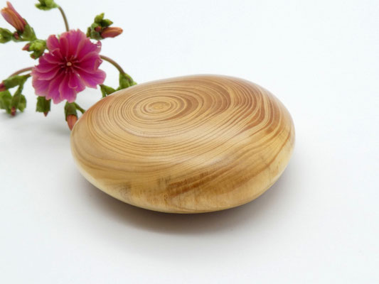 Handschmeichler aus Holz - Fichtenast
