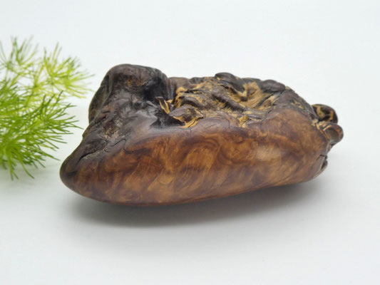 Handschmeichler aus Eukalyptusholz