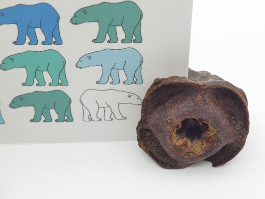 3 Kartenhalter aus Eukalyptuszapfen