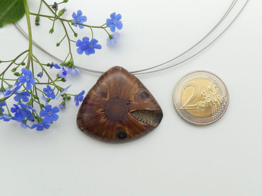 Anhänger aus einem Banksia-Zapfen & Edelstahlcollier