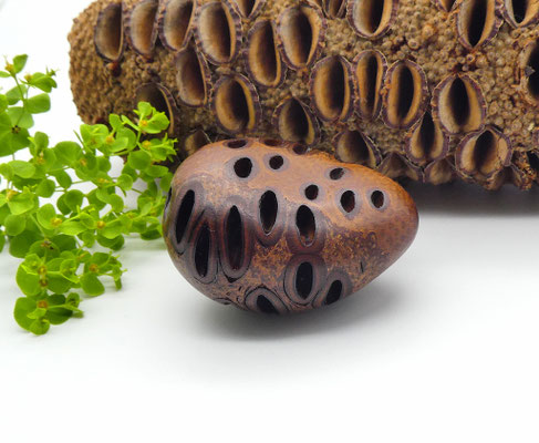 Handschmeichler aus Holz - Banksiazapfen
