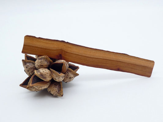 Lesezeichen aus Holz - Apfelbaum