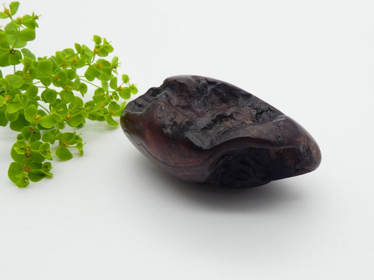 Handschmeichler aus Holz - Eukalyptus