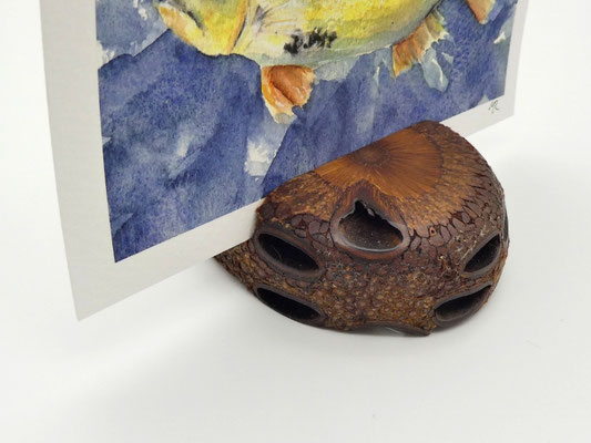 Kartenhalter/Wechselrahmen aus einem Banksiazapfen