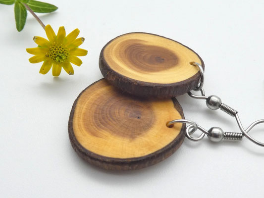 runde Ohrringe aus Holz - Eibe