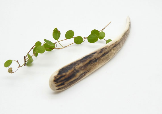 Haarnadel aus Hirschgeweih