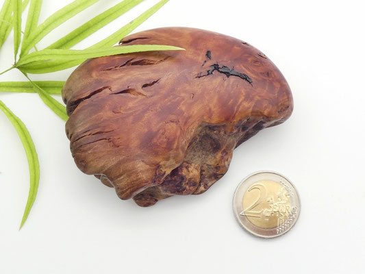 Handschmeichler aus Holz - Eukalyptus