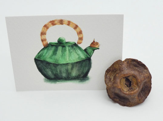 2 Kartenhalter aus Eukalyptuszapfen