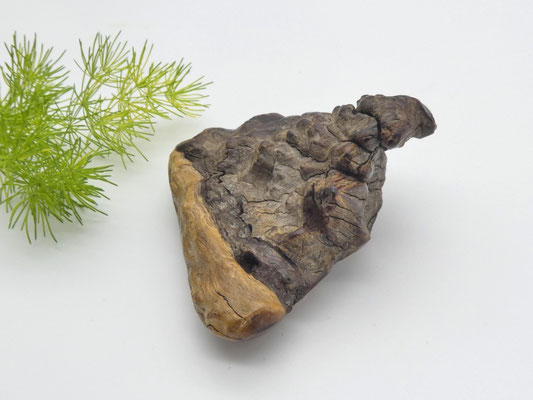 Handschmeichler aus Eukalyptusholz - Geschenkidee für Australienfans