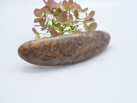 Haarspange aus Ahornmaser & kleine Klammer