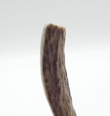 Haarnadel aus Hirschgeweih