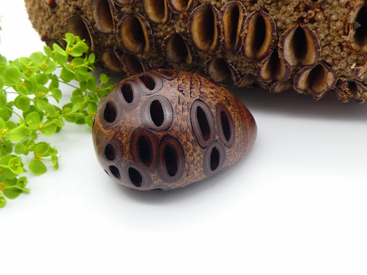 Handschmeichler aus Holz - Banksiazapfen