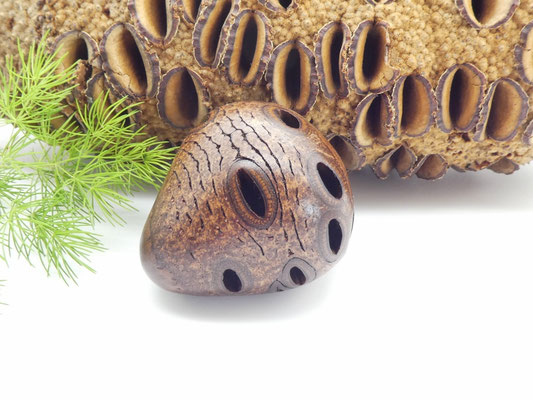 Handschmeichler aus Holz - Banksiazapfen - Geschenkidee für Australienfans!