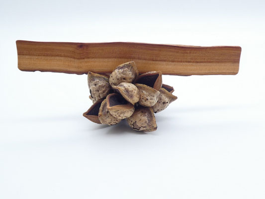 Lesezeichen aus Holz - Apfelbaum